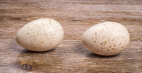 Fototapeta na wymiar Turkey eggs on wooden background