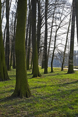 Arkadia park in Lowicz county. Poland