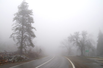 Fog and icy mountain road.