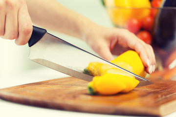 close up of hands chopping squash with knife