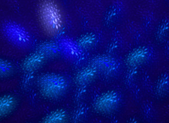 Abstract wallpaper. Abstract fractal. Fractal art background for creative design. Decoration for wallpaper desktop, poster, cover booklet, card. Psychedelic. Print for clothes, t-shirt.