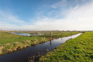 Wet nature reserve at the end of winter