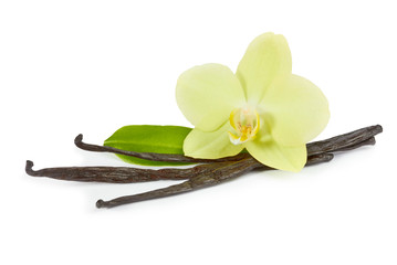 Vanilla sticks and yellow orchid with green leaf
