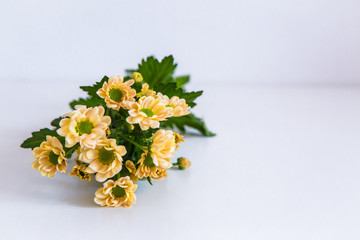 Beautiful bouquet of yellow chrisamtems