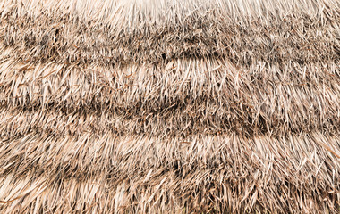 thatch roof background