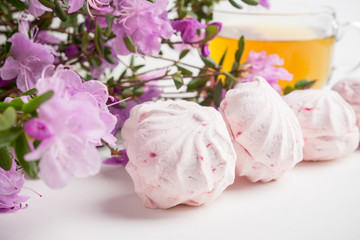 Zephyr on the white wooden background