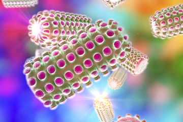 3D illustration of a rabies virus, a virus transmitted by bites of rabid animal, realistic image of microbe, microorganism, microscopic view, bullet shaped virus, RNA virus