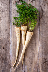 fresh parsley root on wooden table