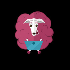 sheep with laptop