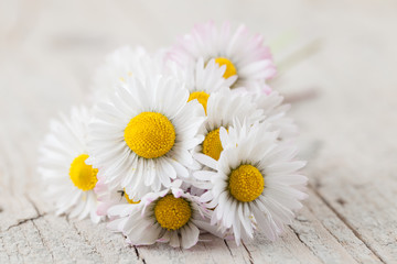 Obraz premium Bouquet of daisies on white wooden blurred background