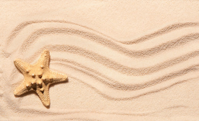 Fototapeta na wymiar Starfish on sand with marks of waves