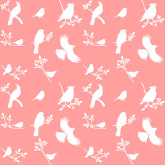 Vector Collection of Bird Silhouettes on a pink background