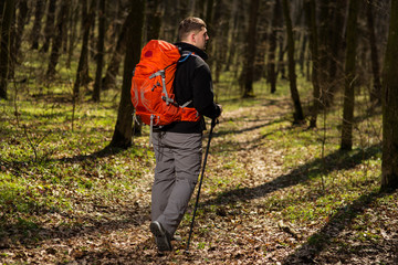 Male hiker looking to the side walking in forest