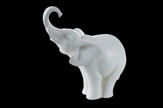 Fototapeta white elephant on a black background