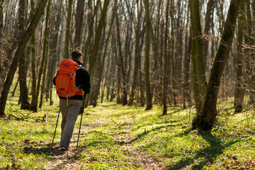 Fototapeta premium Male hiker looking to the side walking in forest