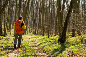 Obraz premium Male hiker looking to the side walking in forest
