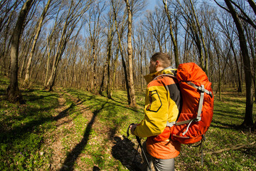 Male hiker looking to the side walking in forest