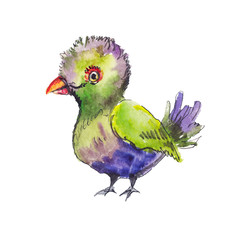 Sketch of tropic green bird. Funny hand drawn sketch.