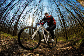 Naklejka premium Cyclist Riding the Bike