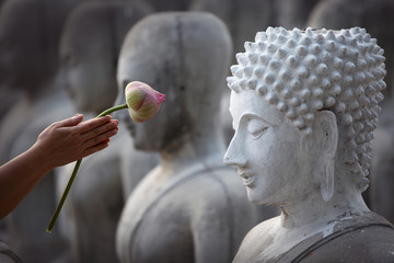 Hand Respekt zum Buddha-Bild