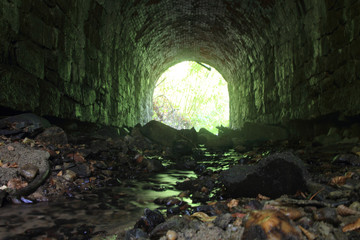 old tunnel in the forest