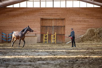 Zelfklevend Fotobehang Training of sport horse © castenoid
