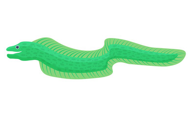 Moray Fish vector illustration.