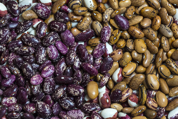 background bean seeds