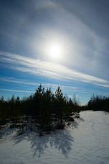 Bright sun with rainbow halo over the forest on a spring day.
