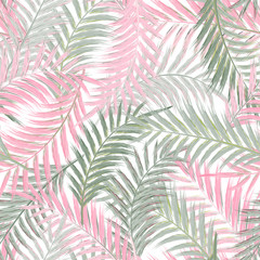 Leaves of palm tree. Seamless pattern. Palm leaf in violet on white background. Tropical trees leaves.