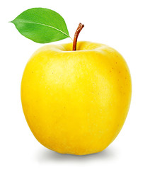 Ripe yellow apple isolated on a white background.