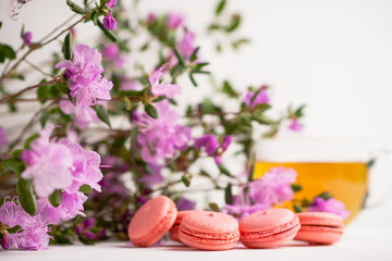Obraz na płótnie Canvas Pink macaroons on the white wooden background. Shallow depth of field.