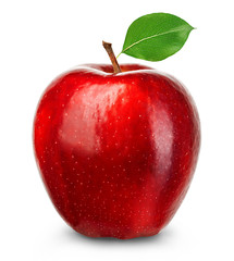 Ripe red apple isolated on a white background.