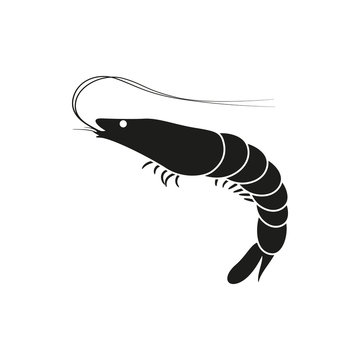 Shrimp simple black icon on white background