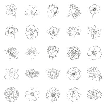 simple black outline flower icon set on white background