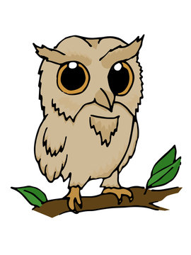 Hand drawn illustration of owl
