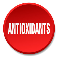 antioxidants red round flat isolated push button