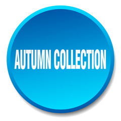 autumn collection blue round flat isolated push button
