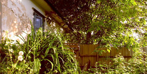Home. Old damage adobe house