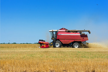 Obraz premium Working harvester