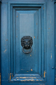 Door with knocker