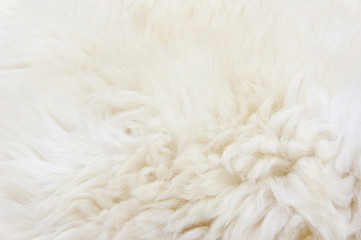 Fur texture