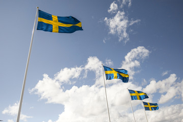 A row of four Swedish flags