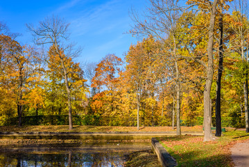 Obraz premium Beautiful autumn landscape, Saint-Petersburg, Russia.