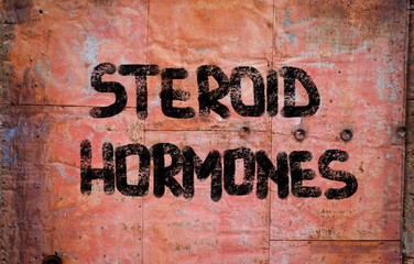 Steroid Hormones Concept