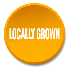 locally grown orange round flat isolated push button