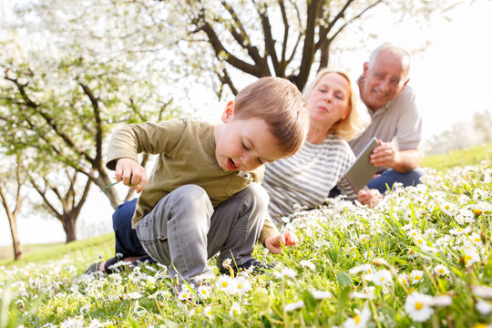 Grandparents with grandson enjoying the sunny spring day outdoors.