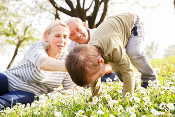 Fototapeta premium Grandparents with grandson enjoying the sunny spring day outdoors.