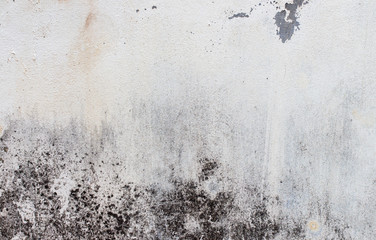 white concrete wall texture