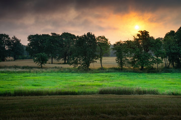 Sun rises over trees. Summer landscape.